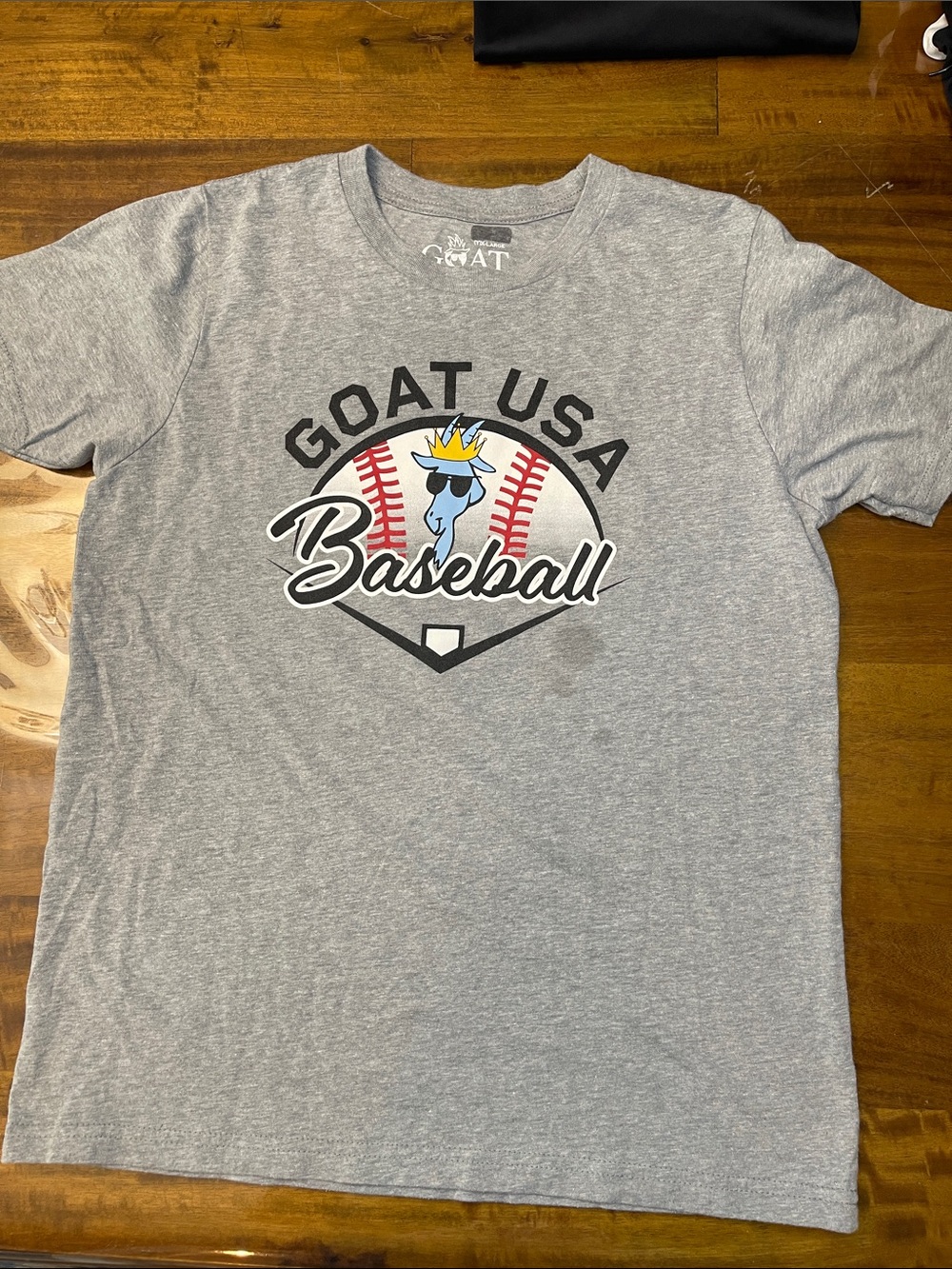 GOAT USA Baseball Graphic Tee in Gray for Kids